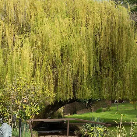 Le Moulin De La Vernoelle Gasthuis